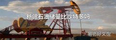 新疆石油储量比沙特多吗