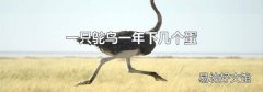 一只鸵鸟一年下几个蛋