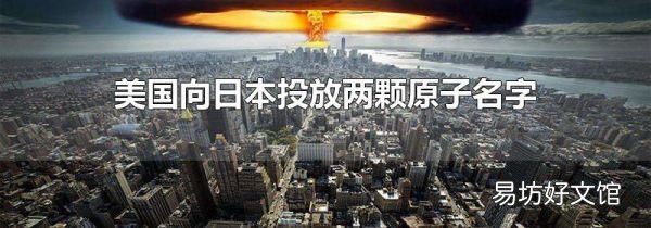 美国向日本投放两颗原子名字