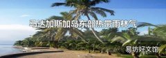 马达加斯加岛东部热带雨林气候的成因