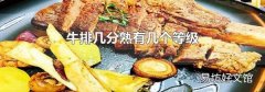 牛排几分熟有几个等级