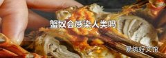 蟹奴会感染人类吗