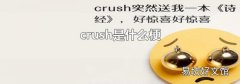 crush是什么梗