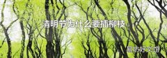 清明节为什么要插柳枝