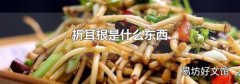 折耳根是什么东西