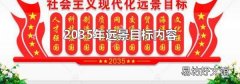 2035年远景目标内容