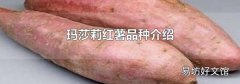 玛莎莉红薯品种介绍