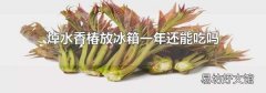 焯水香椿放冰箱一年还能吃吗
