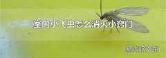 室内小飞虫怎么消灭小窍门