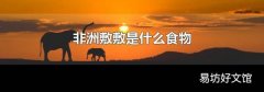 非洲敷敷是什么食物