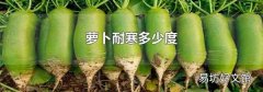 萝卜耐寒多少度