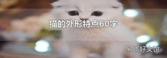 猫的外形特点60字