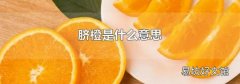 脐橙是什么意思