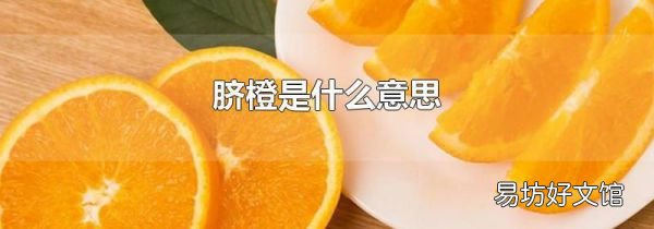 脐橙是什么意思