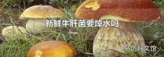 新鲜牛肝菌要焯水吗