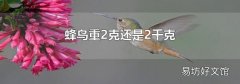 蜂鸟重2克还是2千克