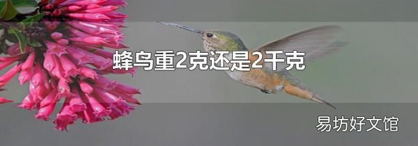 蜂鸟重2克还是2千克