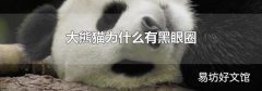 大熊猫为什么有黑眼圈