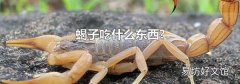 蝎子吃什么东西?