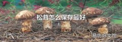 松茸怎么保存最好