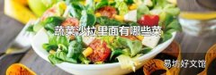蔬菜沙拉里面有哪些菜