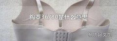 胸罩36/80是什么意思