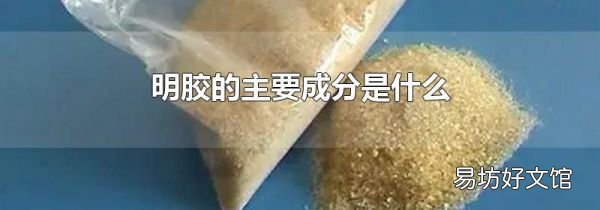 明胶的主要成分是什么