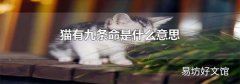 猫有九条命是什么意思