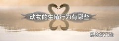 动物的生殖行为有哪些