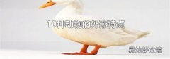 10种动物的外形特点