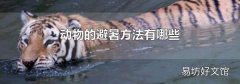 动物的避暑方法有哪些