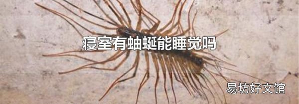 寝室有蚰蜒能睡觉吗