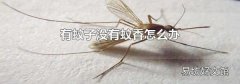 有蚊子没有蚊香怎么办