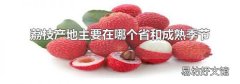 荔枝产地主要在哪个省和成熟季节