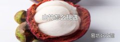 山竹怎么挑选