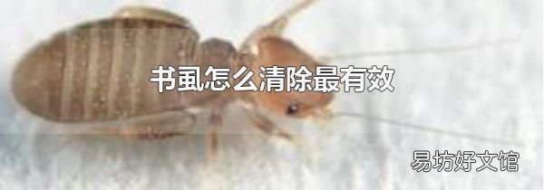 书虱怎么清除最有效