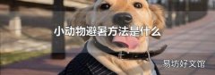 小动物避暑方法是什么