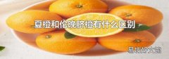 夏橙和伦晚脐橙有什么区别