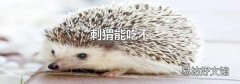 刺猬能吃不