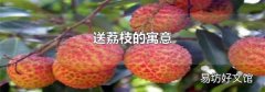 送荔枝的寓意