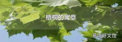 梧桐的寓意