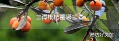 三潭枇杷是哪三潭