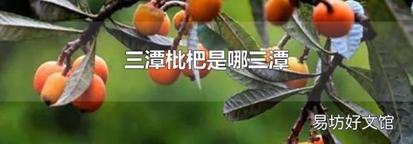 三潭枇杷是哪三潭
