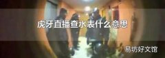 虎牙直播查水表什么意思