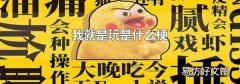 我就是玩是什么梗