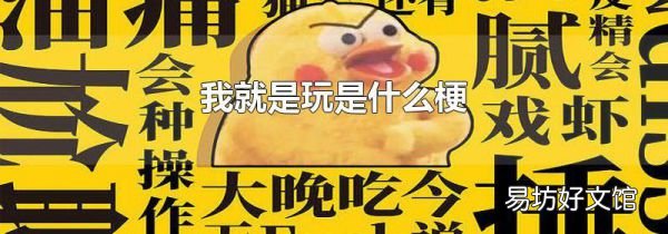 我就是玩是什么梗