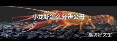 小龙虾怎么分辨公母