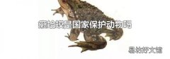 癞蛤蟆是国家保护动物吗