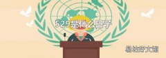 529是什么日子