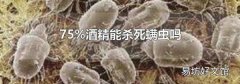 75%酒精能杀死螨虫吗